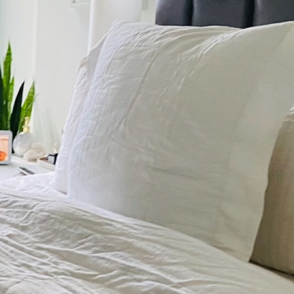 Frette at Home Euro Sham (1)